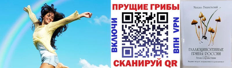 купить наркотик  Ленинск  ОМГ ОМГ сайт  Псилоцибиновые грибы GOLDEN TEACHER 